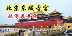 插美女粉B中国北京-东城古宫旅游风景区
