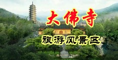gv男男抽插肏乳逼视频中国浙江-新昌大佛寺旅游风景区